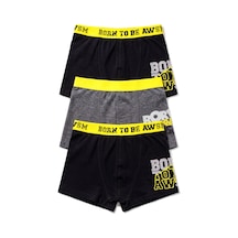 Öts Erkek Çocuk 3 Lü Pamuklu Boxer Baskılı Ekstra Konforlu Kalıp 7290-3 Renkli