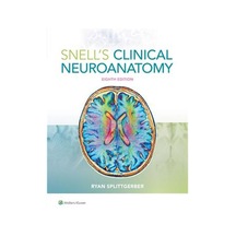 Snell'S Clinical Neuroanatomy N11.1147