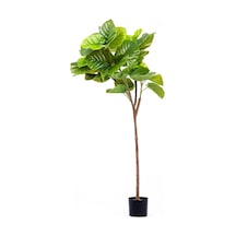 The Mia Yapay Ficus Umbellata Ağacı Yeşil 150 Cm