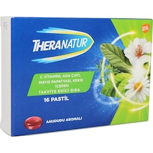 Theranatur Ahududu Aromalı Pastil 16'lı