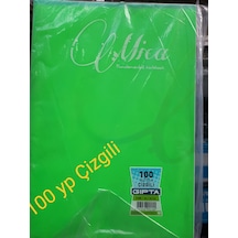 Defter Çizgili 100 Yp 20x28 Cm A 4 Plastik Kapak Gıpta Crome 9 Adetli Paket Çok Renkli