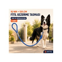 Çok Renkli