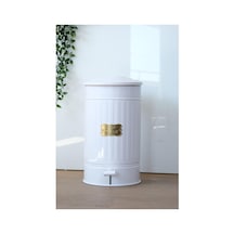 Ayrex Paslanmaz Galvaniz Metal 30 Litre Pedallı Çöp Kovası Beyaz Diğer