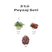3'lü Peyzaj Seti Mor+ Kırmızı Petunya Çiçeği Curf