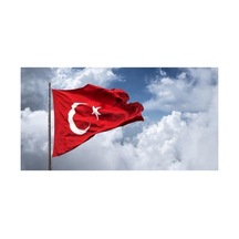 Diğer