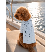 Miniş Marine Blue Küçük Irk Köpek Pike Kumaş Polo T-shirt-21582