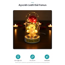 Ayıcıklı Ledli Gül Fanus Standart