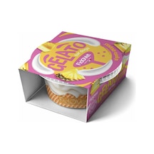 İtalyan Gelato Köpek Dondurması Ananas 40g Toz Karışım - 110g Dondurma 6 Aromalı