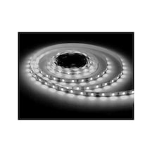Şerit Led 6500k 12 V 4040 5 Metre