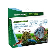 Eurostar - 545 - Bitki Tohumu - Kmrsfres - Hemianthus Callitrichoides