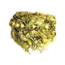 Derya Eren Yayla Çayı Anamur Adaçayı 100 G