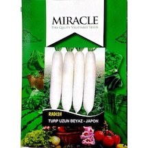 Miracle Uzun Beyaz Turp Tohumu 10 GRam