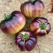 Mor Beyaz Great White Purple Domates Tohumu 15 Tohum