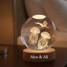 Büyük Boy Işıklı Ahşap Kaideli 3d Denizanası Temalı Cam Küre 8cm