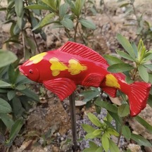 Şık Kadın Ve Erkekler İçin Zarif Tasarım, Dayanıklı Ve Modaya Uygun Aksesuar, Mükemmel Hediye Seçeneği