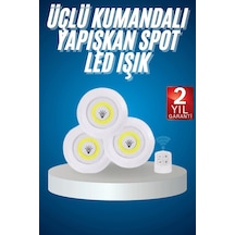 Çok Renkli