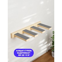 Go Cats Kedi Tırmanma Merdiveni Tırnak Törpüleme 388114747