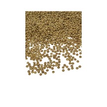6 Mm Aladdin Meşe Rengi Ahşap Boncuk 50 Gr