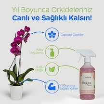 Hobitar Orkide Besini Vitamini 500 Ml -%100 Doğal, Çiçeklendirici Ve Köklendirici Formül Diğer