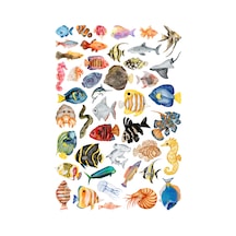 44 Adet Suluboya Balık Sticker Seti - Etiket Seti Scrapbook Bullet Journal Çok Renkli