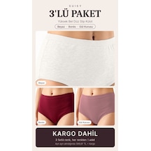 Suısy Yüksek Bel Düz Slip Külot 3'lü Paket Beyaz - Bordo - Gül Kurusu Çok Renkli