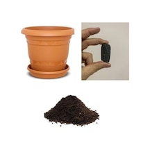 Ithal Mini Siyah Mısır Tohumu Ekim Seti