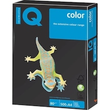 Mondi Iq Ne1341-Og52 Renkli Kağıt A4 80Gr-500 Siyah