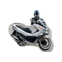 Honda Pcx Koruma Demiri 2014-2017