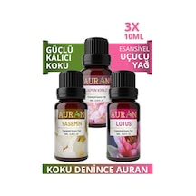 AURAN Yasemin, Lotus, Japon Kirazı Saf Uçucu Yağ Buhurdanlık Yağı