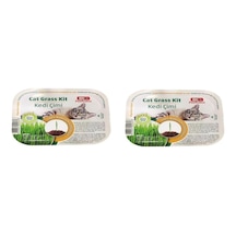 Bio Petactive Cat Grass Kit Doğal Kedi Çimi Kiti X 2 Adet