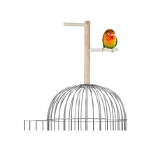 Ağaç Sopalı Kuş Tüneği 23 Cm