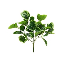Yapay Peperomya Demeti 35 Cm-9987