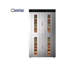 Dalle SS-80H Paslanmaz Çelik Gıda Kurutma Makinesi