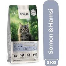 Obivan Somonlu Ve Hamsili Yetişkin Kedi Maması 2 Kg