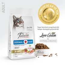 Felicia Derma Care Somonlu Düşük Tahıllı Yetişkin Kedi Maması 2 KG