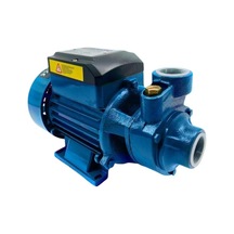 Qb60 Elektrikli Su Motoru 0.5hp 1 Inç Bahçe Pompası Su Pompası 2 Yıl Garaantili Ürün...