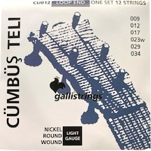 Galli Cu012 Profesyonel Cümbüş Teli Takım