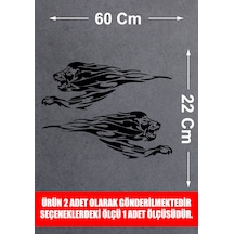 60X22 Cm
