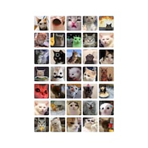35 Adet Kedi Tatlı Komik Sticker Seti - Etiket Seti Sketchbook Çok Renkli