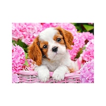 Çiçekler Ve Yavru Köpek Çerçeveli 70x90 Sayılarla Boyama Hobi Seti Diğer