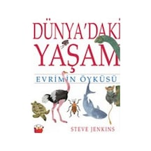 Dünya'daki Yaşam - Steve Jenkins - Kuraldışı Yayınları
