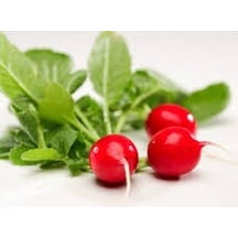 Fındık Turp Tohumu Cherry Belle Radish