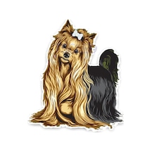 Yorkshire Terrier Cins Köpek Araba Sticker Çıkartması