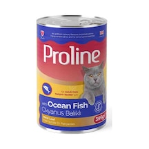 Okyanus Balıklı Pate Yetişkin Kedi Konservesi 12 Adet 395 Gr