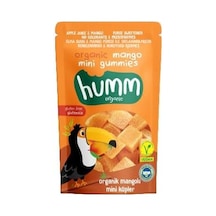 Organik Glutensiz Vegan Mangolu Mini Küpler - 30g Diğer