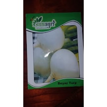 Beyaz Turp Tohumu 1 Paket