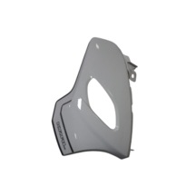 Pion