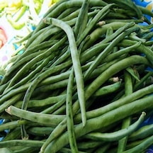 Ata Tohumları Geleneksel Sırık Börülce Tohumu 20 Adet Kopya