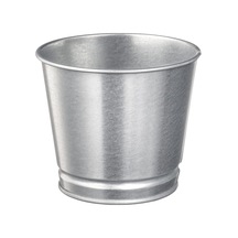 Bıntje Bitki Saksısı, 9 Cm, Galvanizli