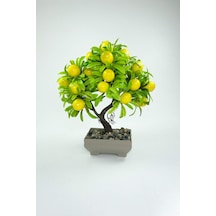 Dekor Ağaç Limon Ağacı Saksılı Dekoratif Ağaç Biblo 24x13 Cm Çok Renkli